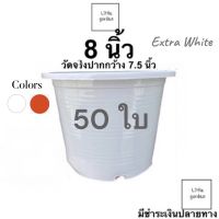 กระถางขาว 8 นิ้ว (วัดจริงปากกว้าง 7.5 นิ้ว) 50 ใบ (สีขาว สีอิฐ)