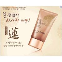 Welcos No Makeup Face BB Cream SPF30