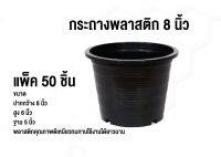 กระถางต้นไม้ กระถางพลาสติก ขนาด 8 นิ้ว