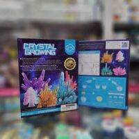 ปะการังเติบโตชชุดเลี้ยงปะการังจำลอง Growing Crystal
