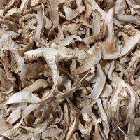 เห็ดมัตสึกทาเกะ หรือเห็ดสน Matsutake #พร้อมส่ง ขนาด 50g &amp;100g ยาอายุวัฒนะ เห็ดมัตสึทาเกะ 1 ปีออกดอกครั้งเดียว 松茸