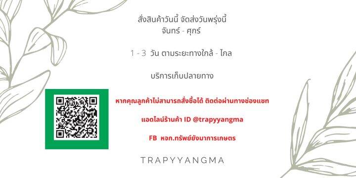 ไกลโฟ-เซต48-ตราจระเข้บิน-ยกลัง-4-แกลลอน-กำจัดวัชพืช-ชนิดดูดซึม