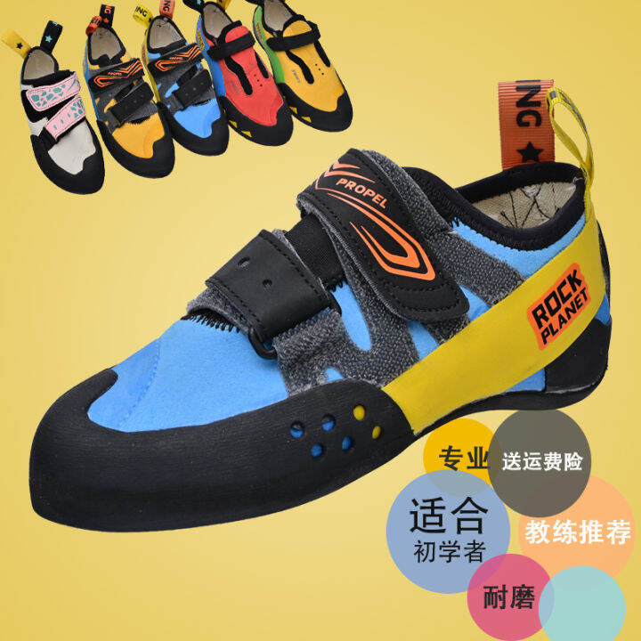 Rock Rock Climbing Shoes Entry Basic Adult Professional
