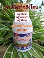 สารกำจัดวัชพืชใบแคบในแปลงผักชี ฟลูอะซิฟอป-พี-บิวทิล15%ตายถึงรากถึงโคนขวด500ml