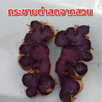 กระชายดำขุดสดจากสวน 1กิโลกรัม (พร้อมส่งจำนวนมาก)