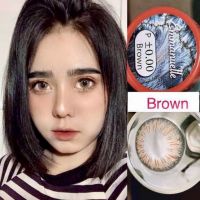 คอนแทคเลนส์ ? Emmanuelle Brown / Emquatier Brown ?(Pitchy Lens / Pretty Doll) สีน้ำตาลขนาดบิ๊กอายลายดัง