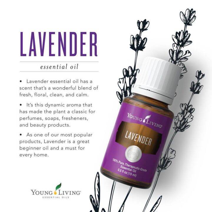 Lavender Essential Oils Young Living Lazada PH