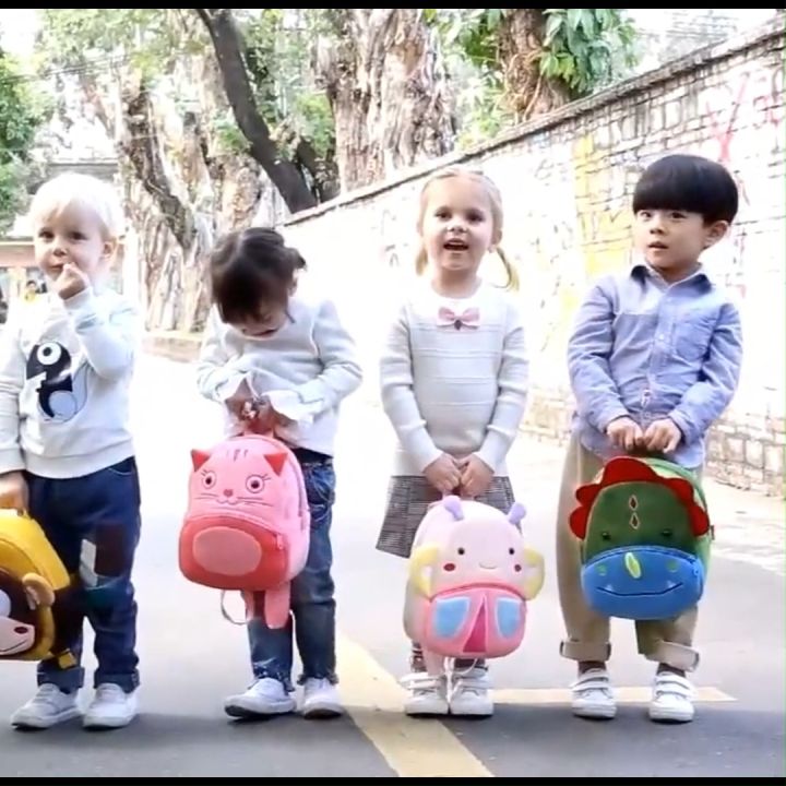 BABY SHARK Kids Toddler Boys Girls School Backpack Or Insulated Lunch Bag  Box | eBay