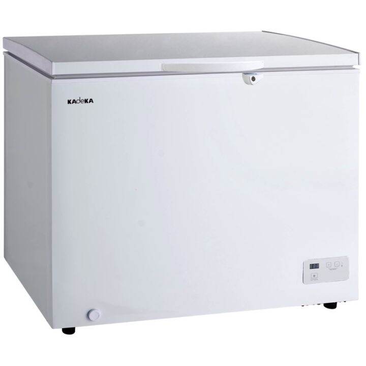 freezer 300 litre