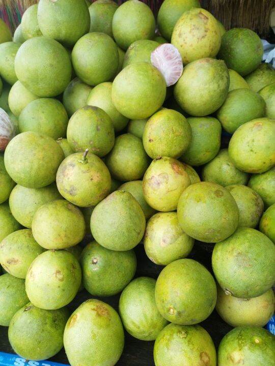 Davao suha Pomelo 3 for 100 Lazada PH