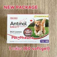 ANTINOL (กล่องใหม่) สำหรับ สุนัข for Dog (60 แคปซูล/กล่อง)