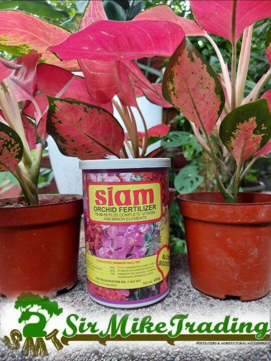 Siam Bloom Booster 450g (100 original) Lazada PH