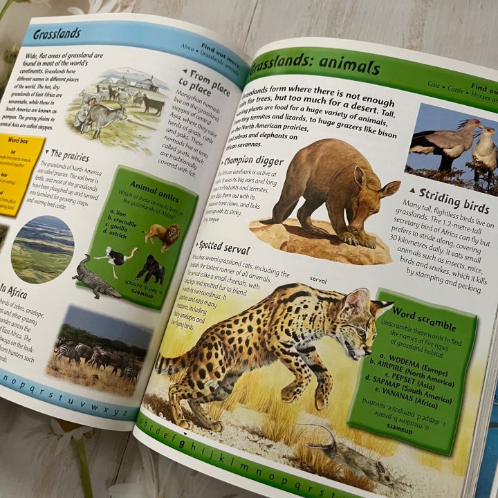 ดิกชันนารี-สารานุกรม-children-s-a-to-z-encyclopedia