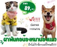 ผ้าพันคอน้องหมา น้องแมว ปักชื่อฟรี