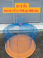 สุ่ม 2 ชั้น สุ่มวิ่ง พับได้ สุ่มไก่ชน เปิดบนได้ สุ่มไก่ขนาดใหญ่ ขนาด 115*80