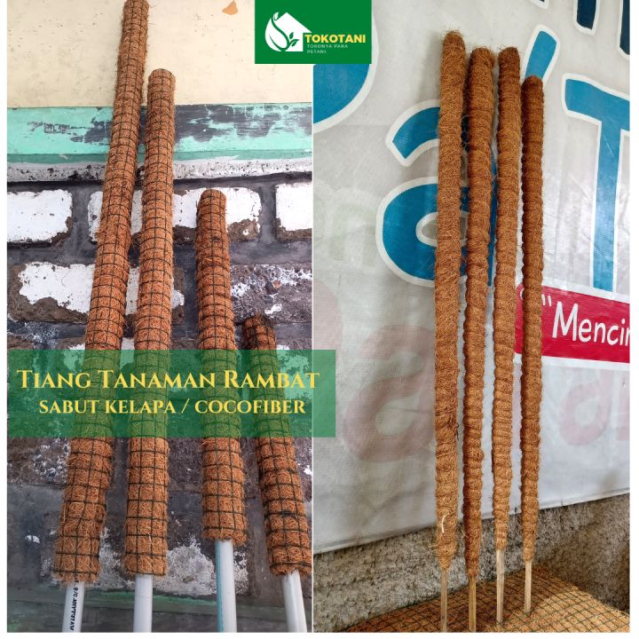 Tiang Tanaman Turus Penyangga Tanaman Rambat 40cm 60cm 80cm 100cm Lazada Indonesia 1989