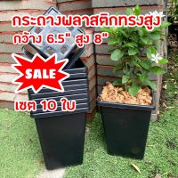 ราคาพิเศษ!! กระถางทรงสูง เซต 10 ใบ กระถางสี่เหลี่ยม 6.5" สูง 8"