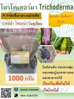 กำจัด โรค รากเน่า โคนเน่า ในทุเรียน ไตรโคเดอร์มา ขนาด 1000 กรัม สูตรเม็ด