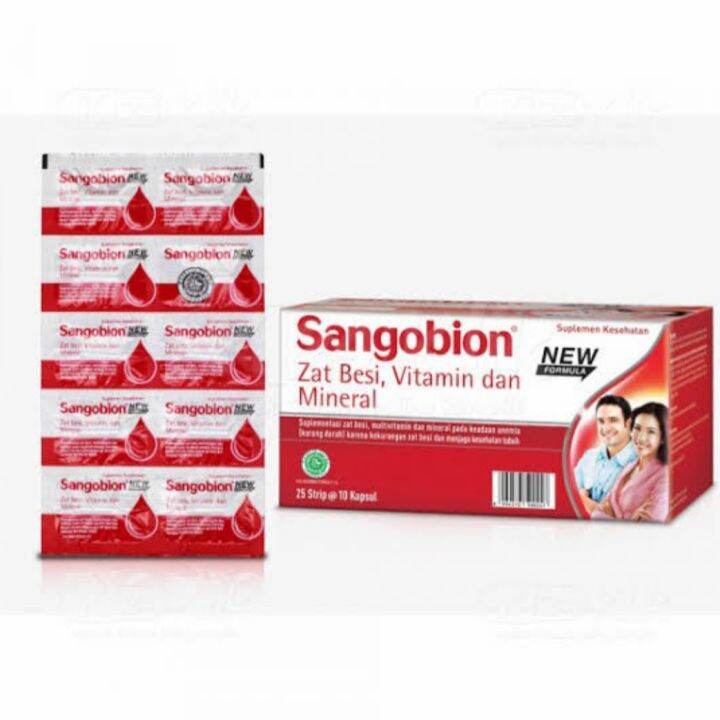 Sangobion Kapsul ( 1 Strap / 10 Tablet) - Vitamin Penambah Darah ...