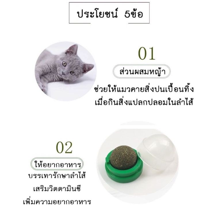 กัญชาแมว-แคทนิปบอล-ติดกำแพง-ไม่กลิ้งหาย-catnip-ball-ของเล่นแมว-อุปกรณ์สัตว์-สำหรับแมว