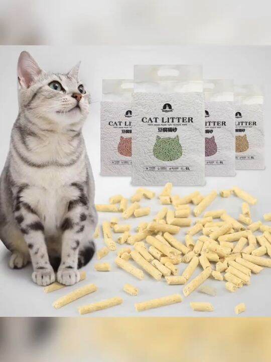 6L Cat Litter Natural tofu Cat Litter Biodegradable Fast Clumping Natural Fresh Lazada PH