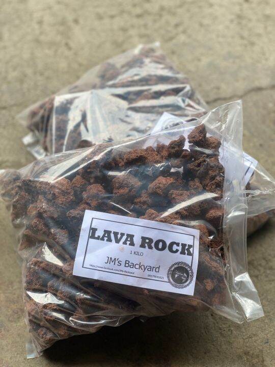 Lava Rock (red) filter media Lazada PH