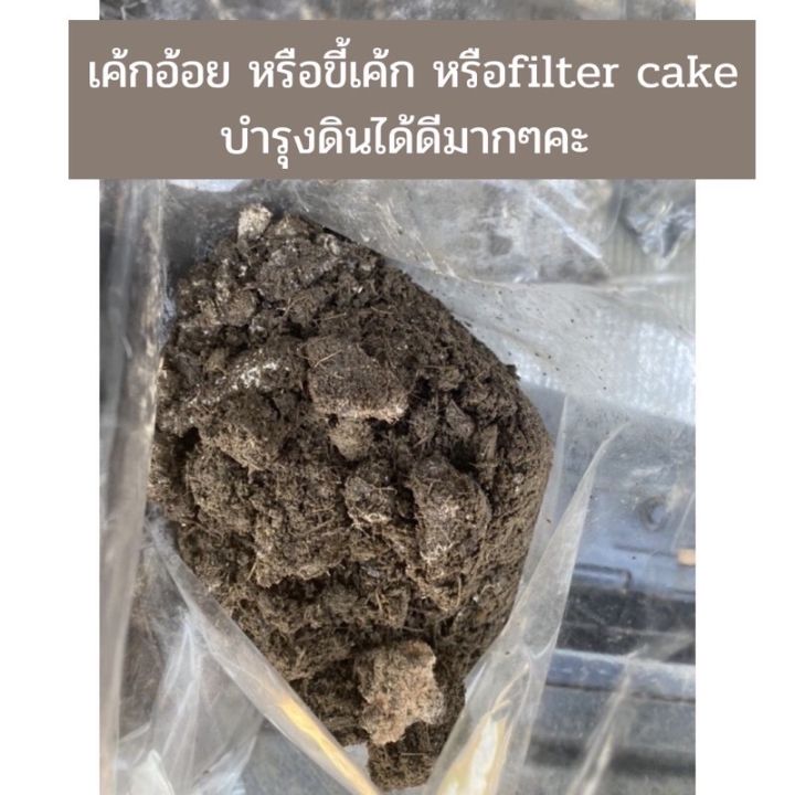 เค้กอ้อย-หรือขี้เค้ก-หรือfilter-cake-วัสดุผสมดินปลูก-1-กก-ยังไม่ตีป่น-มีลักษณะเป็นก้อน