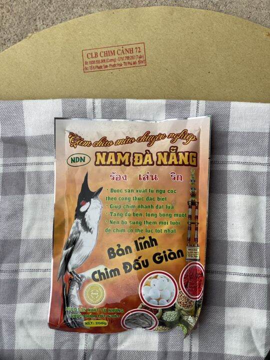 Chim cánh cụt ăn gì? Thông tin thú vị về chim cánh cụt