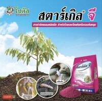 สตาร์เกิลจี ไดโรทีฟูแรน 1kg starkle-G รองก้นหลุม ป้องกันแมลง