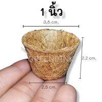 50ชิ้น/แพ็ค กระถางใยมะพร้าว 1 นิ้ว coir pots กระถาง1นิ้ว กระถาง กระถางต้นไม้