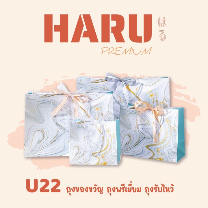 u22-ถุงของขวัญ-ถุงพรีเมี่ยม-ถุงของรับไหว้