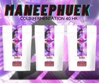 เมล็ดกาแฟคั่วอ่อน Maneepruek cold fermentation 40 hr