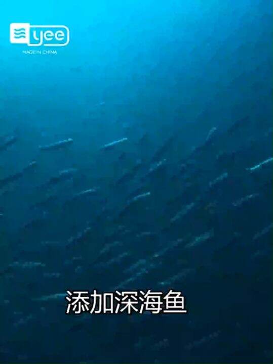 Yee Shrimp Fish Food Antarctic Krill Silver Arowana Feed Shrimp Dried