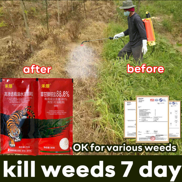Mtt remove grass in 7 days Weed and grass killer herbicide for grass and weeds OK for various