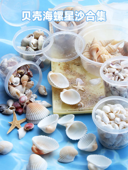 Qiaoqiao UV Epoxy Natural Shell Starfish Conch Crafts Shell Starfish ...