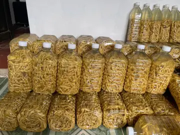 Những người không nên sử dụng rượu ngâm sâu chít Những người không nên sử dụng rượu ngâm sâu chít