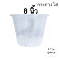 Little กระถางใส 8 นิ้ว (วัดจริงปากกว้าง 7.7 นิ้ว)