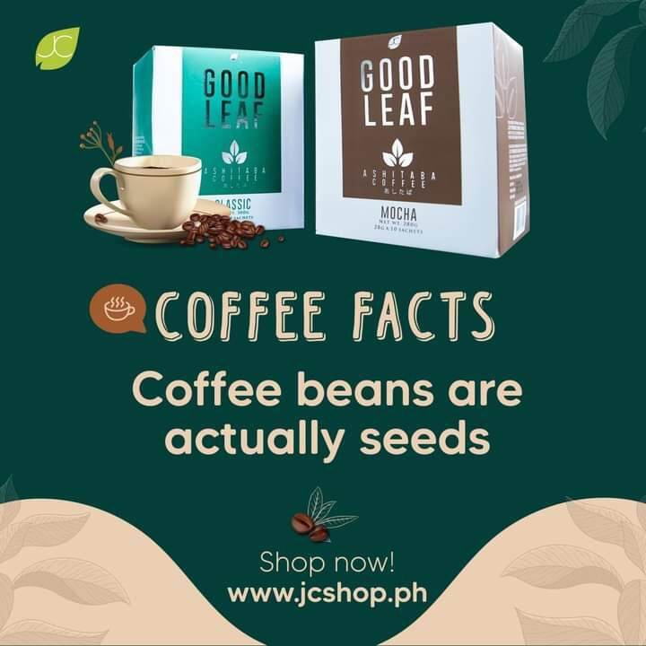 good leaf ashitaba coffee Lazada PH