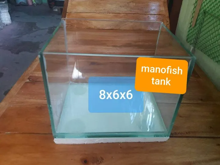 8x6x6 betta tank 1/8 glass thickness | Lazada PH