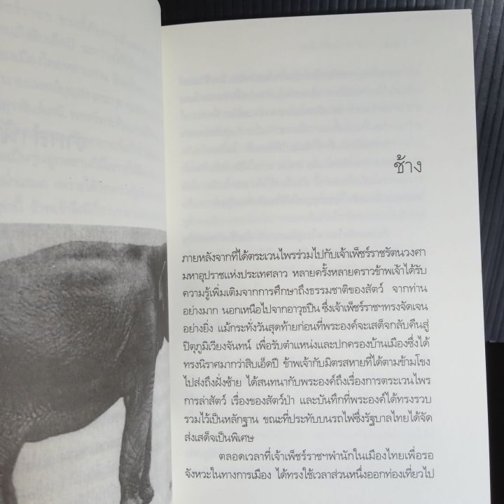 ชีวิตพรานและสัตว์ป่า-ชาลี-เอี่ยมกระสินธุ์-176-หน้า-มือ-1-เก่าเก็บ-มีจุดเหลืองบ้าง