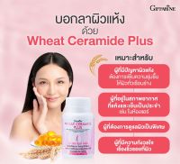 กิฟฟารีน วีท เซราไมด์ พลัส ผิวแห้ง ผิวแห้งขาดน้ำ Ceramide น้ำมันมะกอกธรรมชาติ และวิตามินอี ชนิดแคปซูลนิ่ม 30 แคปซูล