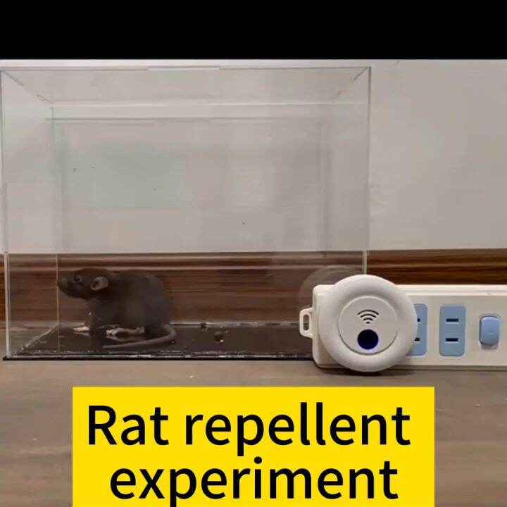 No mice within 1000 square meters, rat repellent ultrasonic. 2023