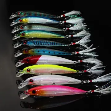 Shop Sabiki Rattler Lure with great discounts and prices online - Feb 2024