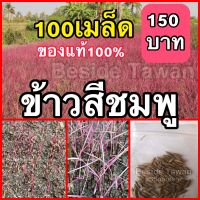 พันธุ์ข้าวสีชมพู(Pink Lady) บรรจุ100เมล็ด ราคา150บาท