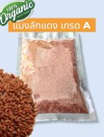 แมงลักแดง เกรด A (ออแกนิก) น้ำหนัก 500g - 1000g