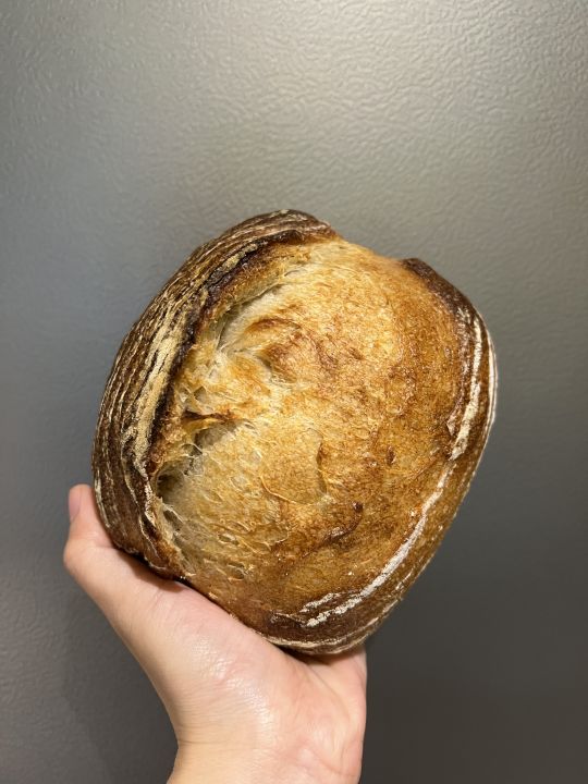 ขนมปัง-ซาวโด-sourdough-bread-country-rye-wheat