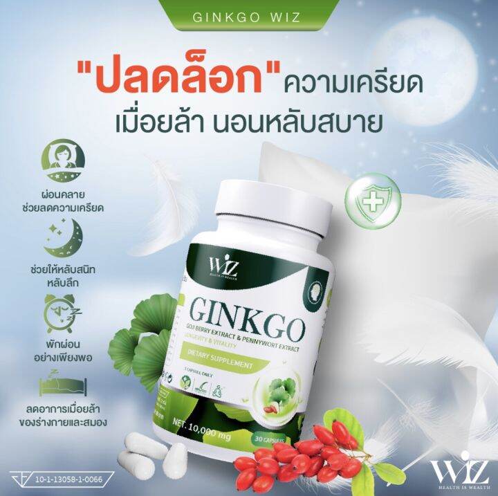 กิงโกะวิชต์-ginkgo-goji-berry-ผลิตภัณฑ์เสริมอาหารจากใบแปะก๊วยโกจิเบอร์รี่