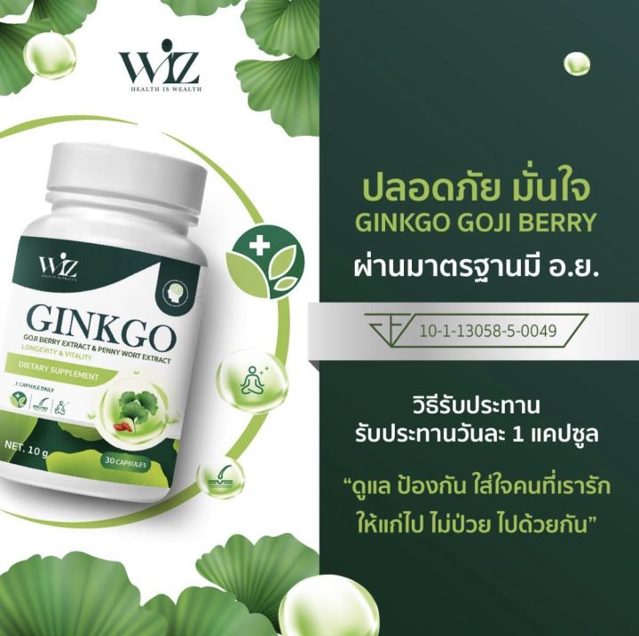 กิงโกะวิชต์-ginkgo-goji-berry-ผลิตภัณฑ์เสริมอาหารจากใบแปะก๊วยโกจิเบอร์รี่