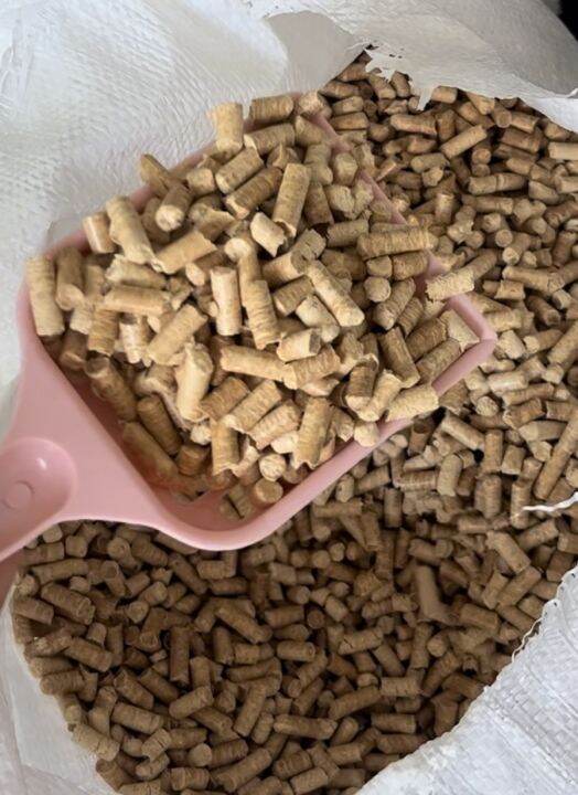 ทรายแมวไม้สน Pine Cat Litter Lazada.co.th