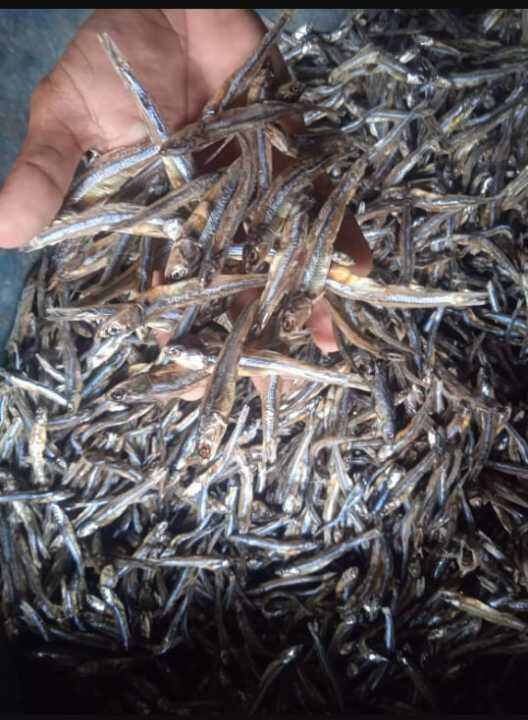 Dilis Lazada PH Buy sell online Dried Mushrooms with cheap price